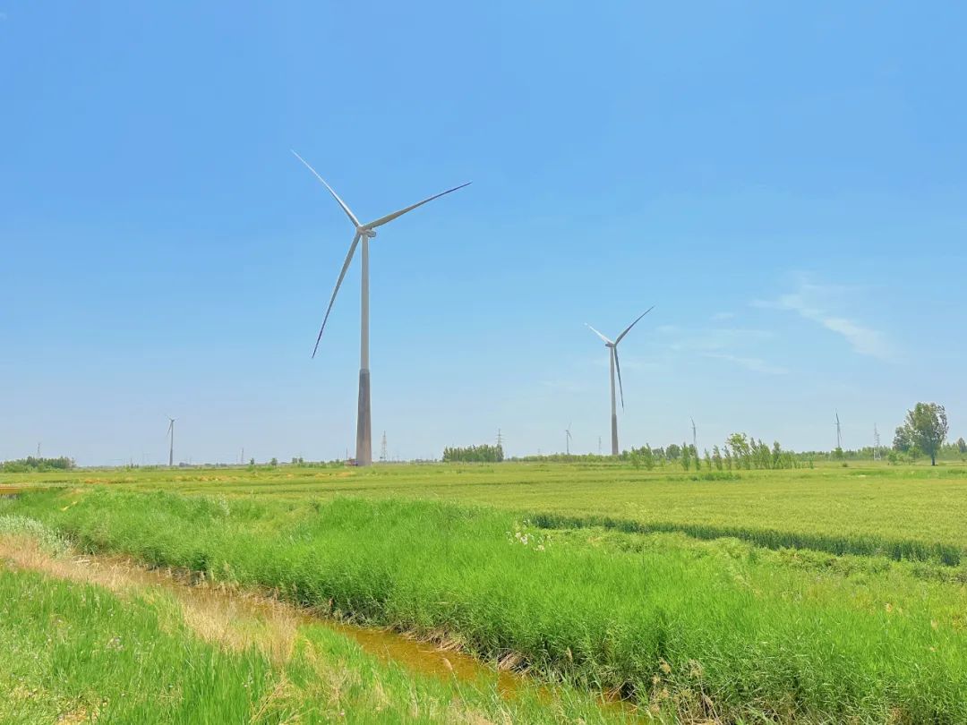 主题教育专栏｜聚焦“项目为王”，能源公司第三座风力发电场成功并网发电